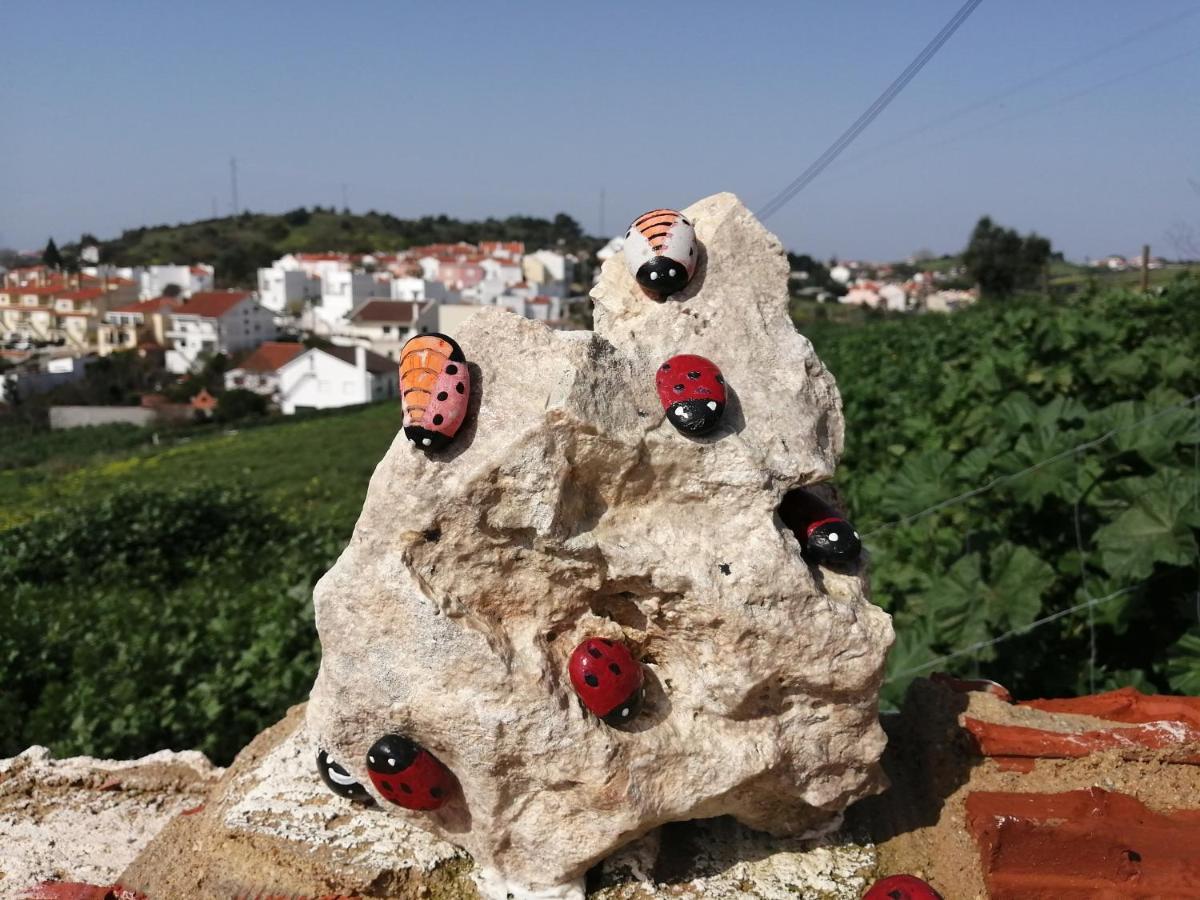 Varandas Da Serra II Vila Franca de Xira Zewnętrze zdjęcie